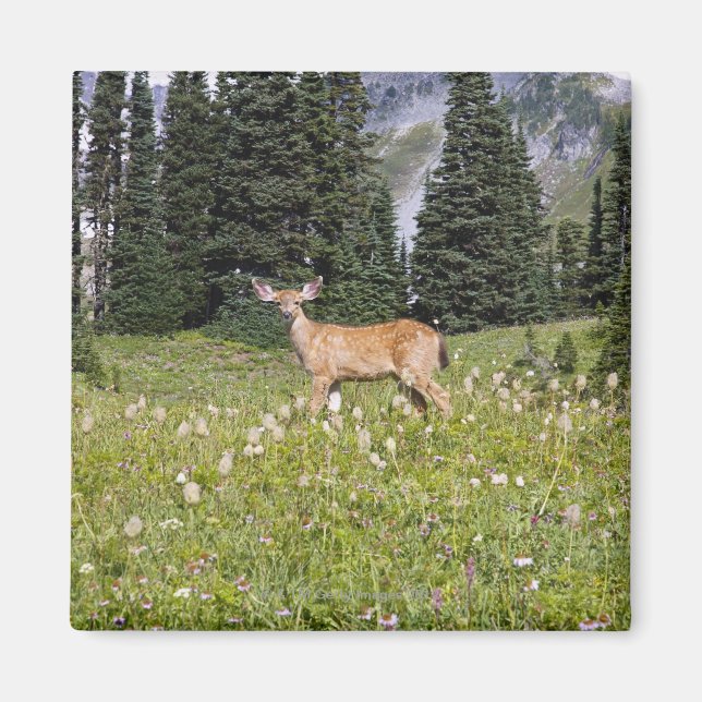 Hirsche im Paradise Park Magnet (Vorne)