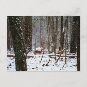 Hirsche im Schnee fallen Postkarte