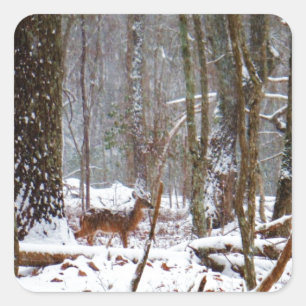 Hirsche im Schnee fallen Quadratischer Aufkleber