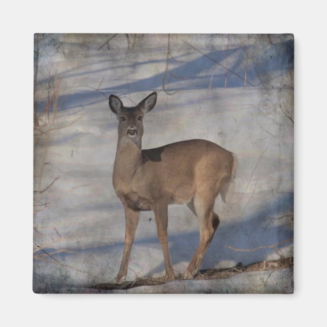 Hirsche im Schnee Magnet (Vorne)