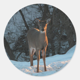 Hirsche im Schnee Runder Aufkleber