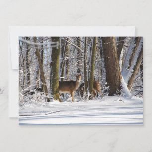 Hirsche im Snowy Eagle Creek City Park Feiertagskarte