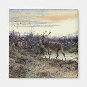 Hirsche im Wald in Fontainebleau (Rosa Bonheur) Magnet