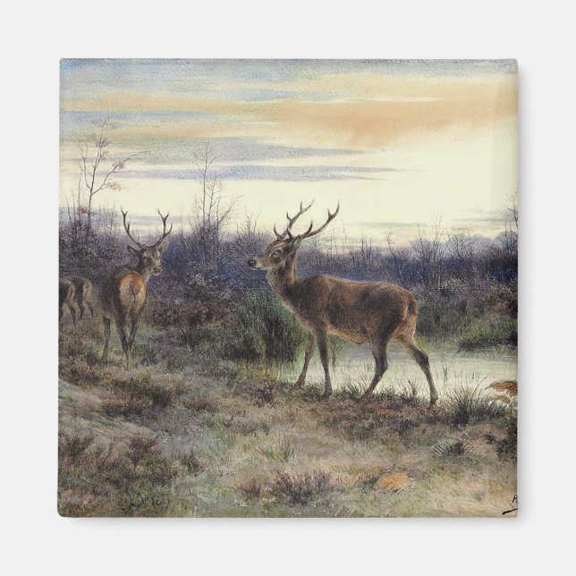 Hirsche im Wald in Fontainebleau (Rosa Bonheur) Magnet (Vorne)