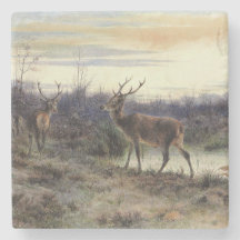 Hirsche im Wald in Fontainebleau (Rosa Bonheur)