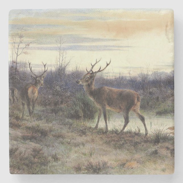 Hirsche im Wald in Fontainebleau (Rosa Bonheur) Steinuntersetzer (Vorderseite)