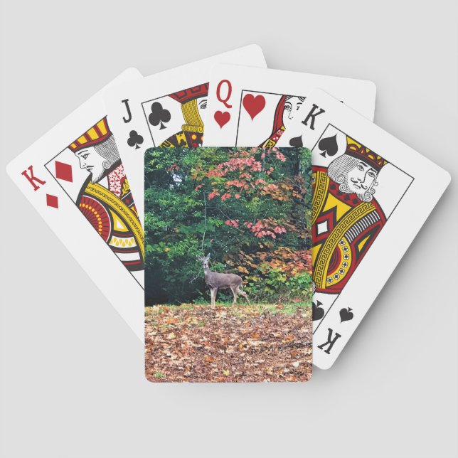 Hirsche im Wald, Oregon Spielkarten (Rückseite)
