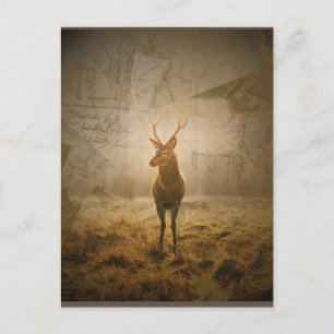 Hirsche im Wald Postkarte