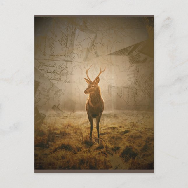 Hirsche im Wald Postkarte (Vorderseite)
