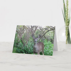 Hirsche im Wald werden bald gut. Karte
