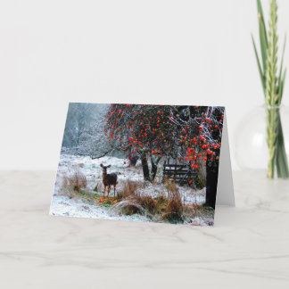 Hirsche im Winter Feiertagskarte