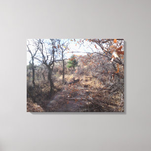 Hirsche in der Woods Canvas Print Leinwanddruck
