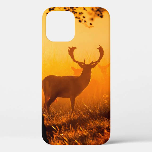 Hirsche in einem dänischen Wald, Herbst, schön, De Case-Mate iPhone Hülle (Rückseite)