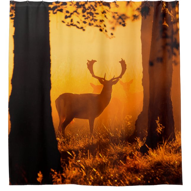 Hirsche in einem dänischen Wald, Herbst, schön, De Duschvorhang (Vorderseite)