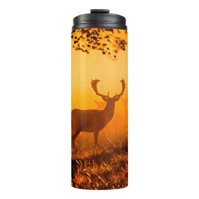 Hirsche in einem dänischen Wald, Herbst, schön, De Thermosbecher (Vorderseite)