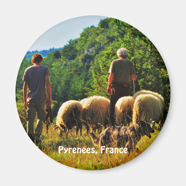 Hirsche in Frankreich Magnet (Vorne)