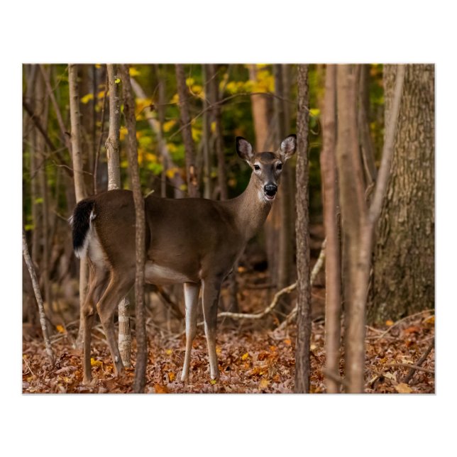 Hirsche in Holz Poster (Vorderseite)
