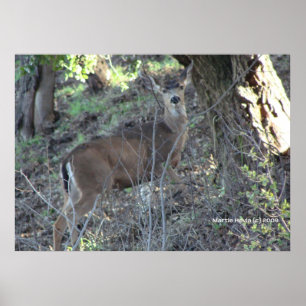 Hirsche in Holz Poster