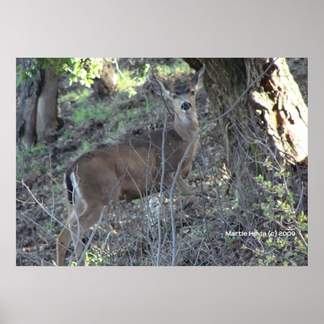 Hirsche in Holz Poster