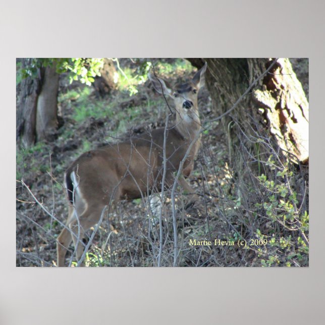Hirsche in Holz - Wählen Sie Ihren Rahmen aus Poster (Vorne)