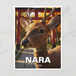 Hirsche in Nara Park Japan Travel Postkarte
