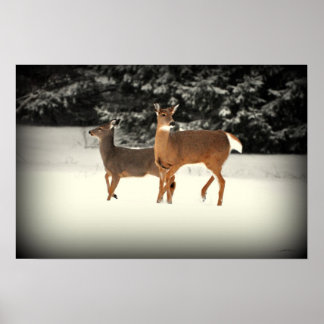 Hirsche in Schneeplakat Poster