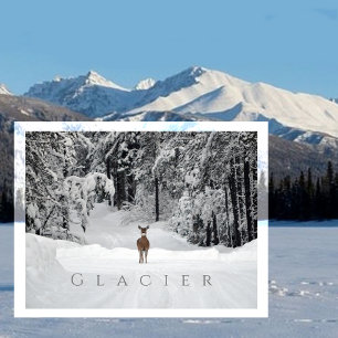 Hirsche in Snowy Clearing, Glacier National Park, Postkarte