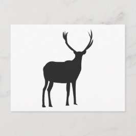 Hirsche Niedlich Antlers Postkarte