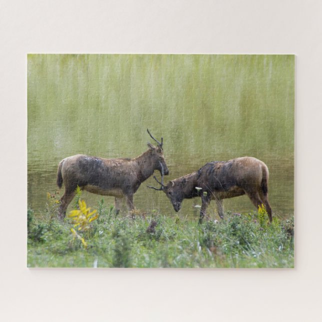 Hirsche Puzzle (Horizontal)
