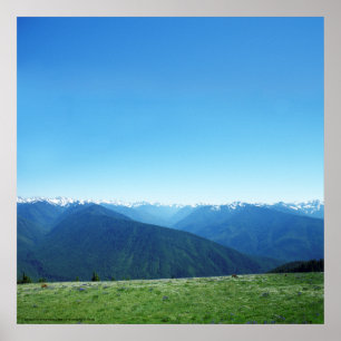 Hirsche und die Olympia Poster