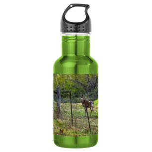 Hirsche und ein Eichhörnchen mit rostfreiem Edelst Edelstahlflasche