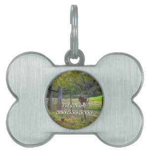 Hirsche und ein Eichhörnchen-Painterly Pet ID-Tag Tiermarke