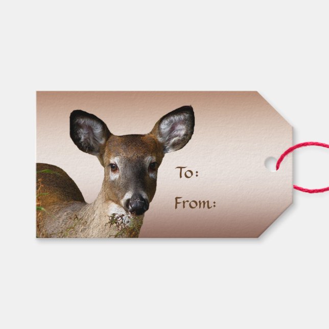 Hirsche und Frostische Hügel Pack mit Giftmarken Geschenkanhänger (Vorderseite (Horizontal))