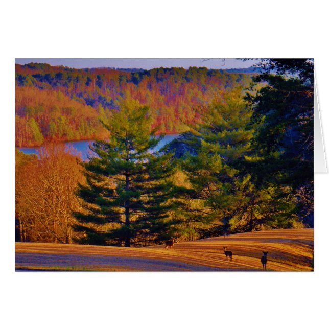 Hirsche und Muttersee (Vorderseite (Horizontal))