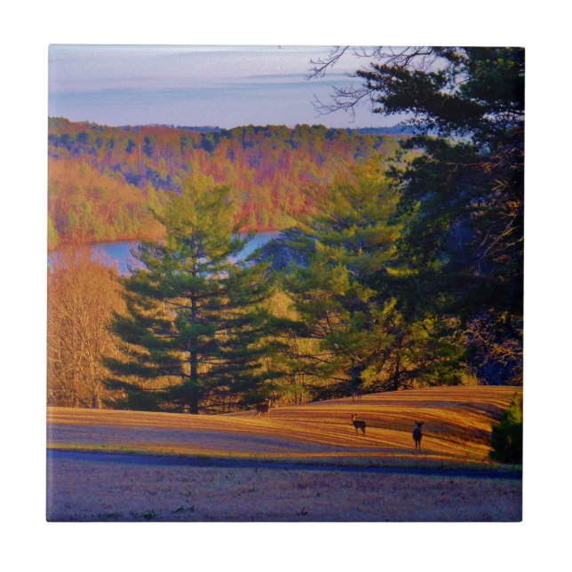 Hirsche und Muttersee Fliese (Vorderseite)