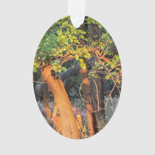 Hirsche, versteckt hinter Bäumen Ornament
