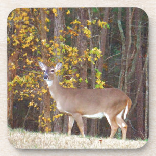 Hirsche vor dem gelben Herbstbaum Untersetzer