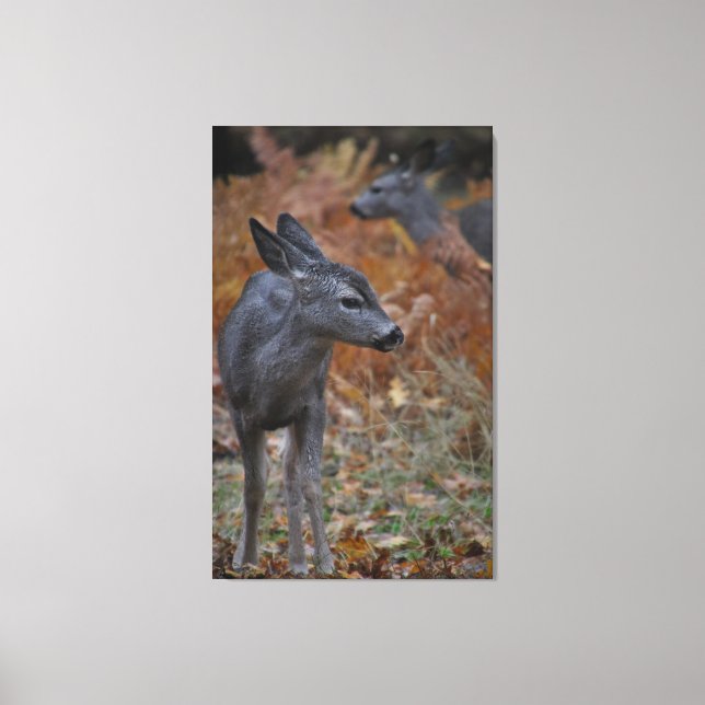 Hirschfamilie- Baby Leinwanddruck (Vorderseite)