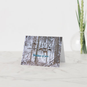 Hirschfamilie im Schnee denken an Ihre Karte