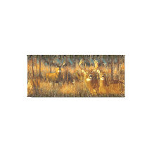 Hirschfamilie in der Herbstsonne