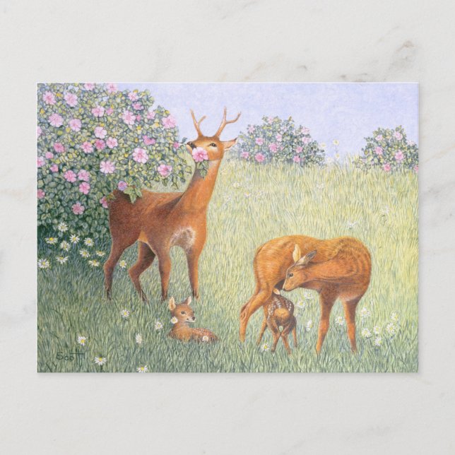 Hirschfamilie Postkarte (Vorderseite)