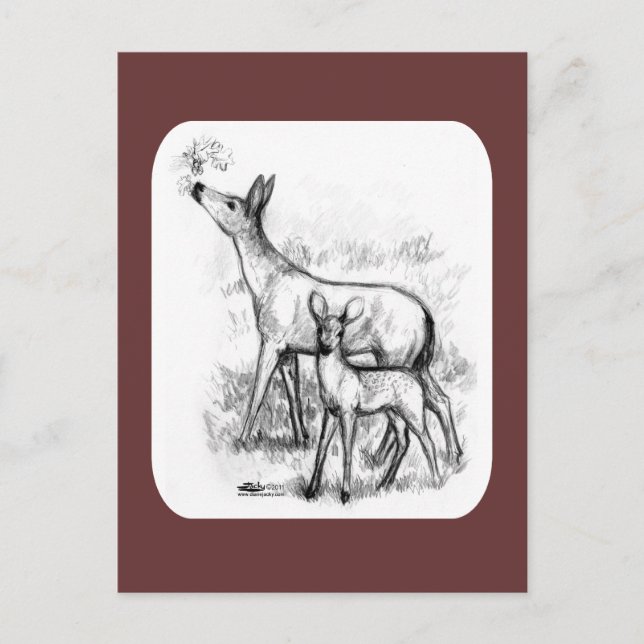 Hirschfamilie Postkarte (Vorderseite)