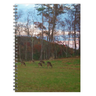 Hirschfeld und rosa SunSet Notizblock