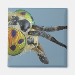 Hirschfliege Magnet