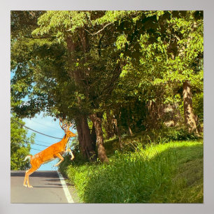 Hirschhüpfen-Foto-Poster Poster