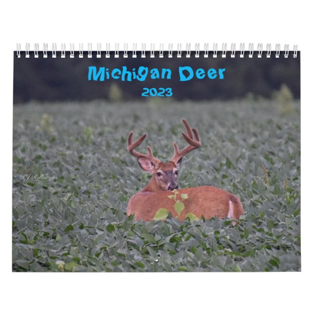 Hirschkalender Kalender (Titelbild)