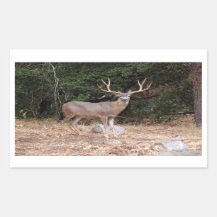 Hirschkleber Rechteckiger Aufkleber