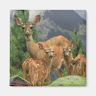 Hirschkunst Magnet