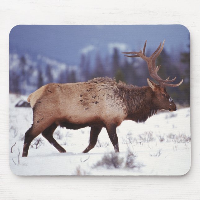 Hirschland Mousepad (Vorne)