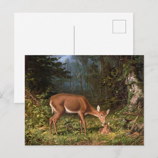 Hirschmutter & Kind im Wald,mütterliche Liebe Postkarte (Vorne/Hinten)
